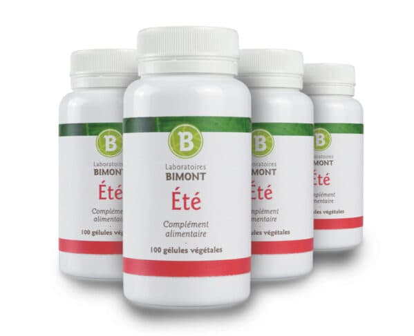 Eté / Dang gui zhi pian Cure 2 pour personnes